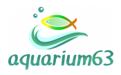 Аквариум 63